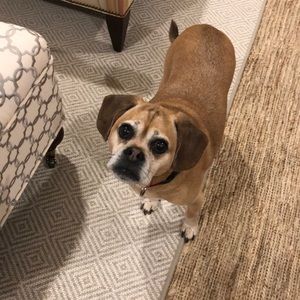 Meet your Posher, Michael